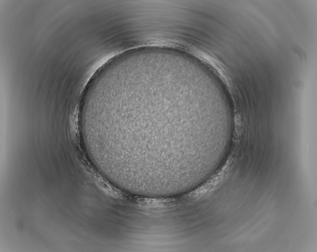 X0000112360875200909031908