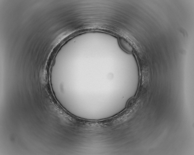 X0000112360876200909031908