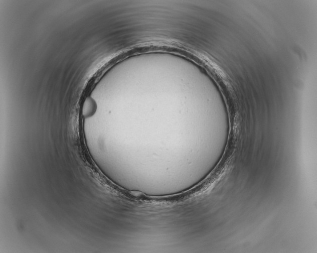 X0000112360877200909031908