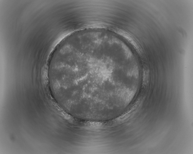 X0000112360878200909031908