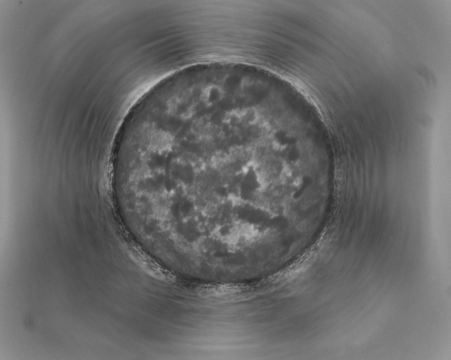 X0000112360879200909031908