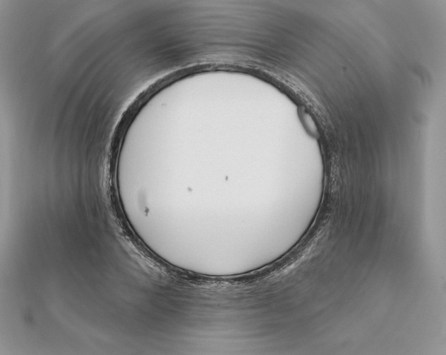 X0000112360880200909031908