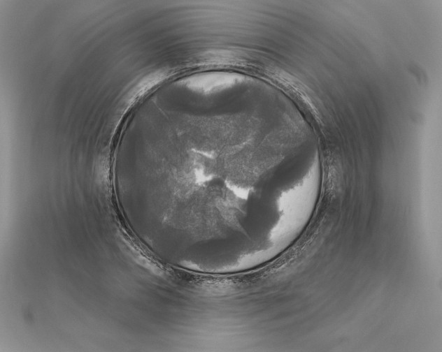 X0000112360882200909031908