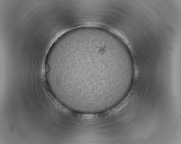 X0000112360883200909031908