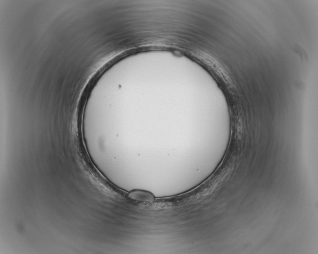 X0000112360884200909031908