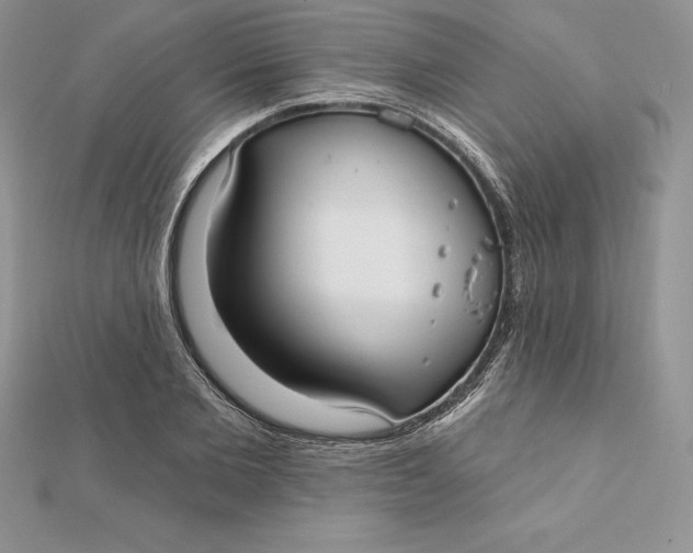 X0000112360885200909031907