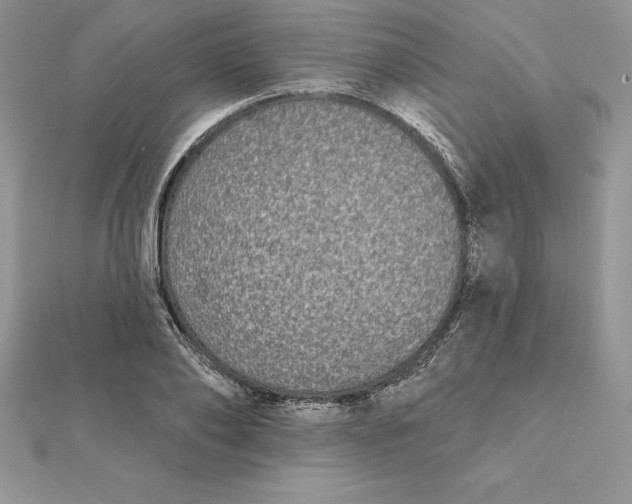 X0000112360886200909031907