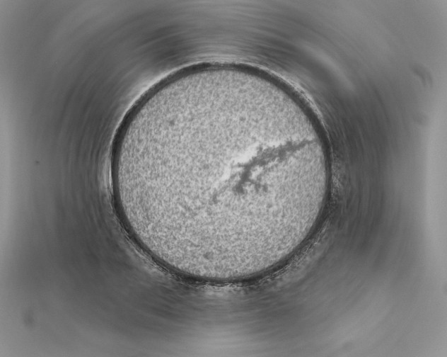 X0000112360887200909031907