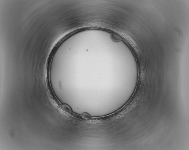 X0000112360888200909031907