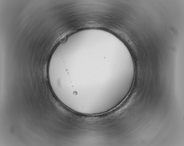 X0000112360889200909031907