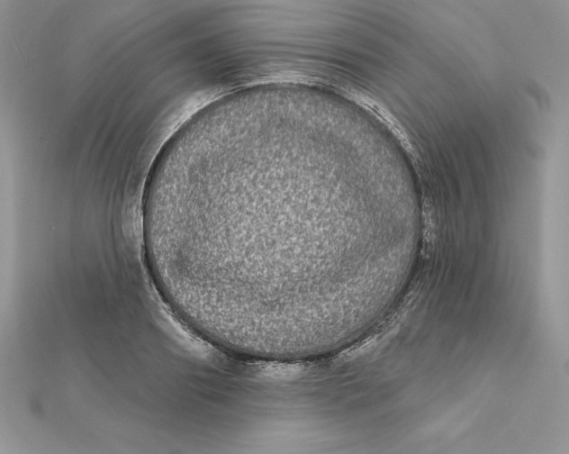 X0000112360890200909031907