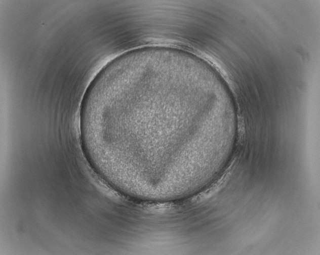 X0000112360891200909031907