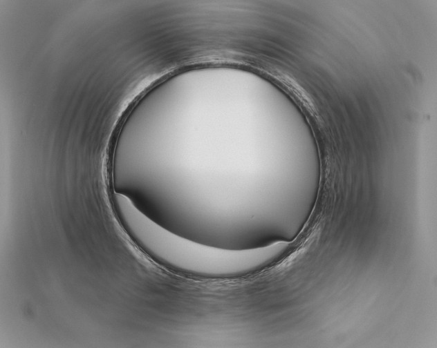 X0000112360893200909031907