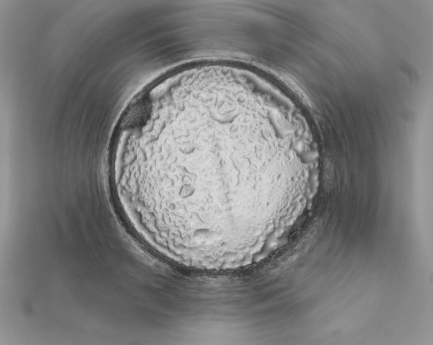 X0000112360895200909031907