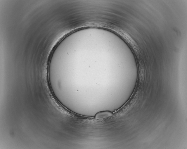 X0000112360896200909031907