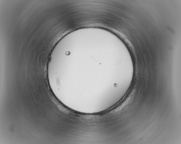 X0000112360897200909031907