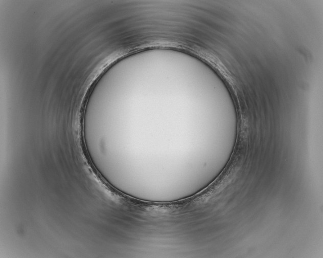 X0000112360898200909031907