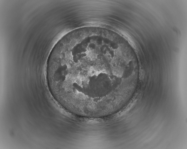 X0000112360899200909031907