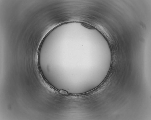 X0000112360900200909031907