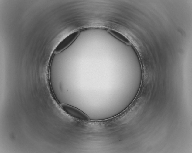 X0000112360901200909031907