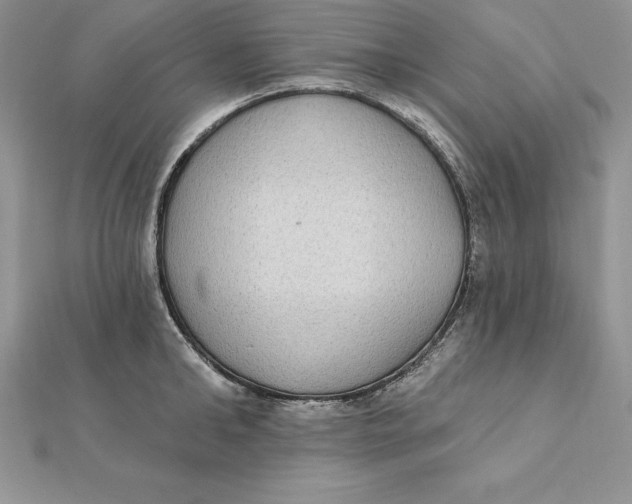 X0000112360902200909031907