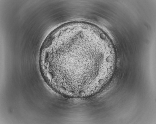 X0000112360903200909031907