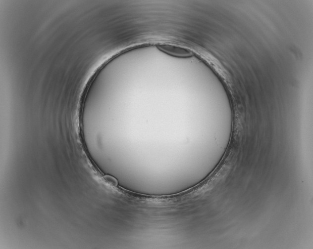 X0000112360904200909031907