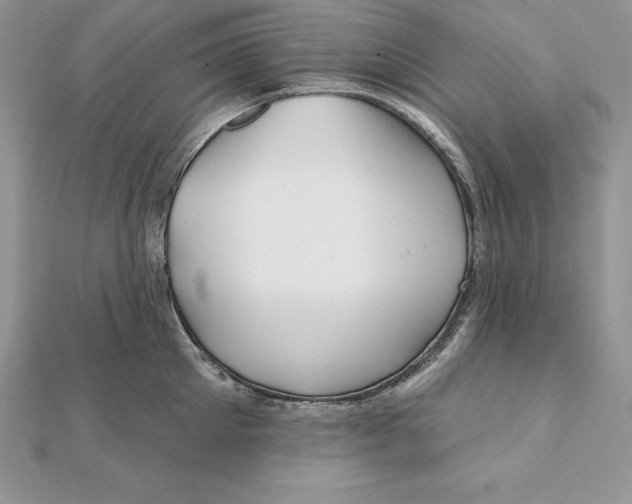 X0000112360905200909031907