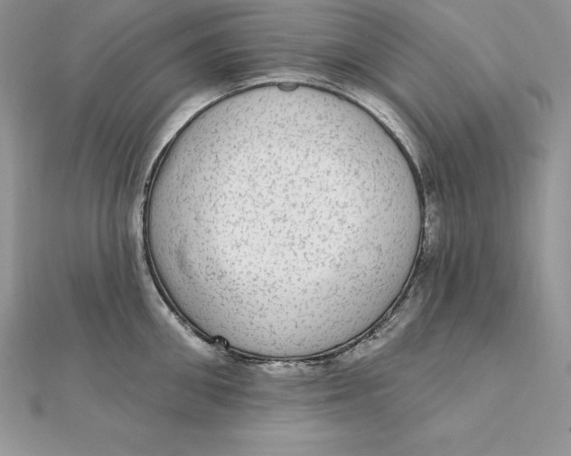 X0000112360906200909031907