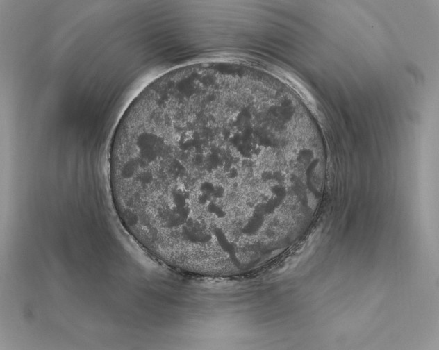 X0000112360907200909031907