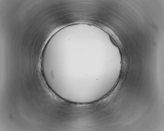 X0000112360908200909031907