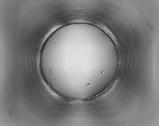 X0000112360909200909031907