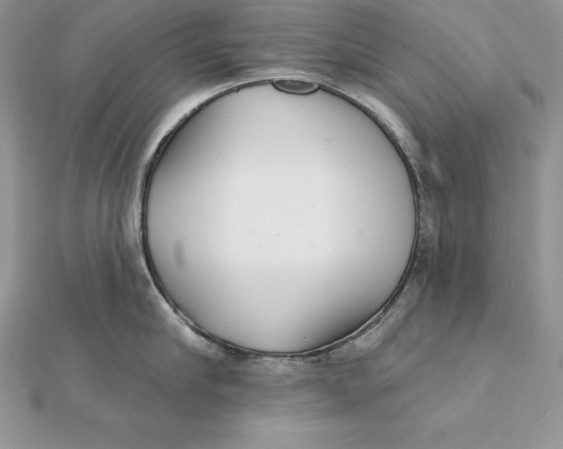 X0000112360910200909031907