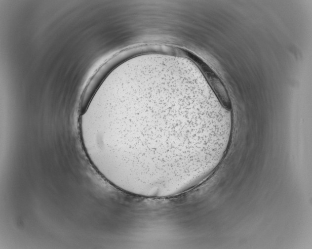 X0000112360912200909031907