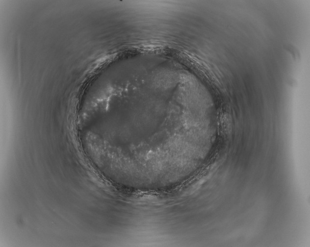 X0000112360913200909031907