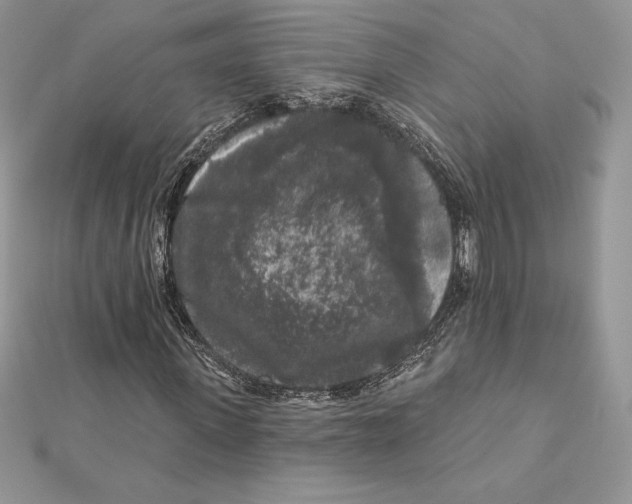 X0000112360915200909031907