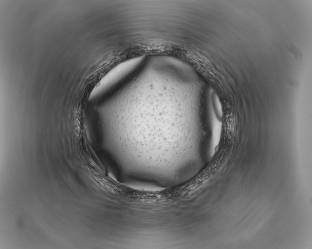 X0000112360916200909031907