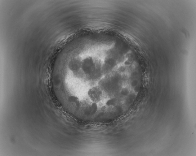 X0000112360917200909031907