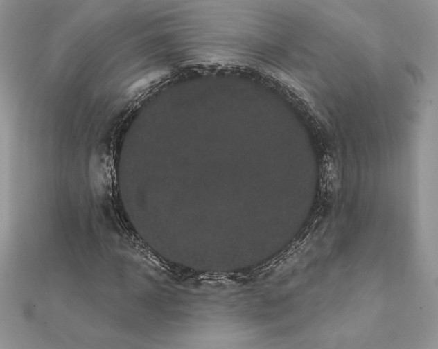 X0000112360918200909031907