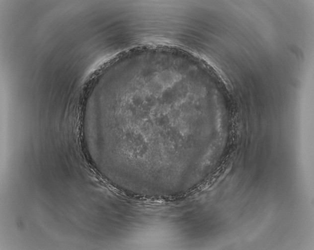 X0000112360919200909031907