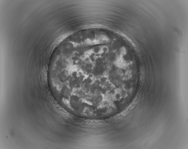 X0000112360921200909031907