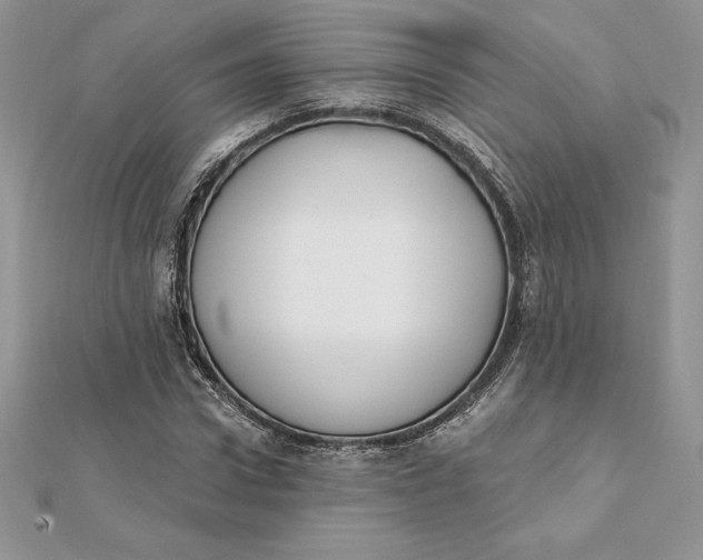 X0000112360922200909031907