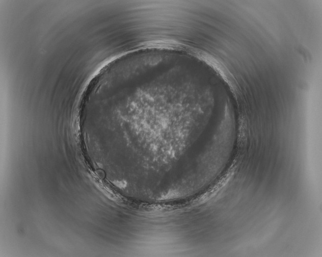 X0000112360923200909031907