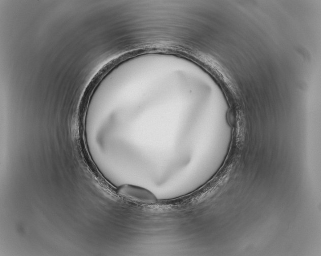 X0000112360924200909031907