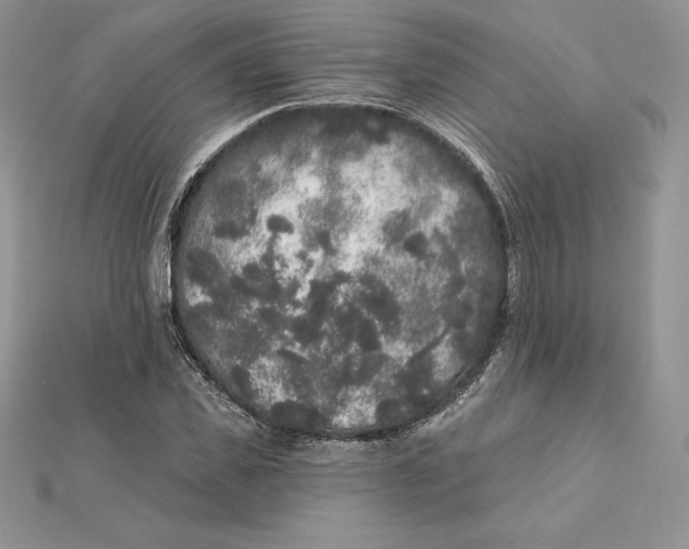 X0000112360925200909031907