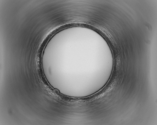 X0000112360926200909031907