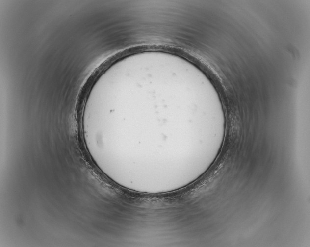 X0000112360927200909031907