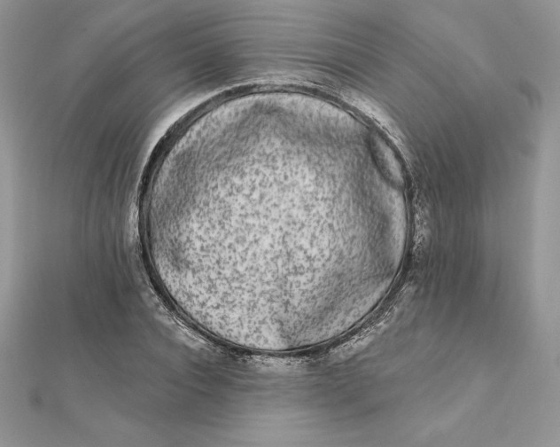 X0000112360928200909031907