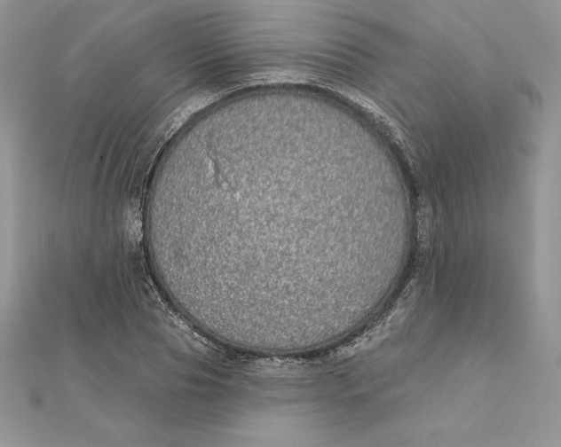 X0000112360929200909031907