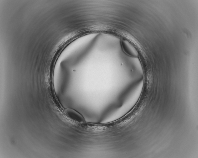 X0000112360930200909031907